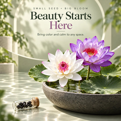 🔥 Last Day 50% OFF 💐The Sacred Bonsai Bowl Lotus Flower